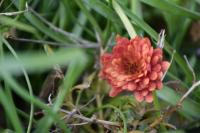 DSC_0048-min